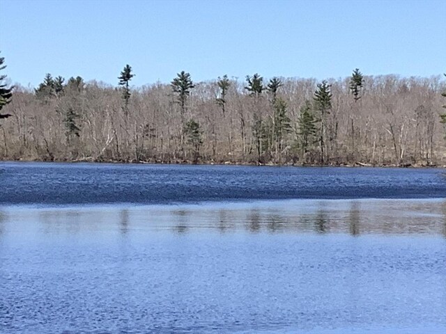 view of water feature