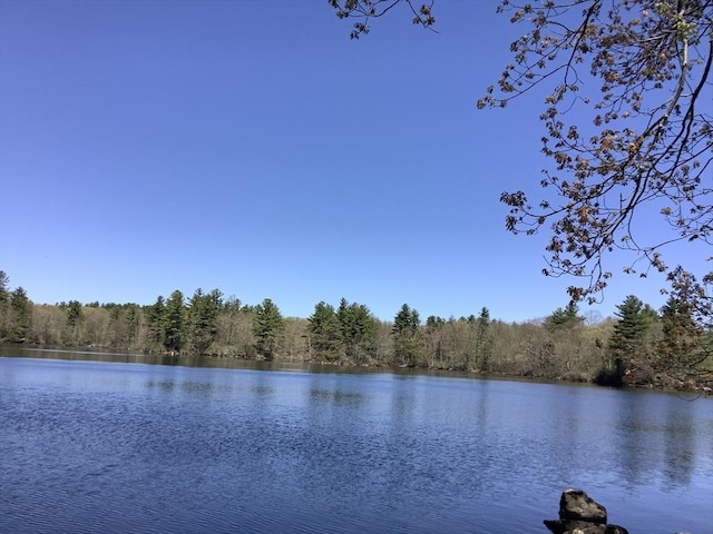 00 Paxton St, Leicester, MA 01524 - property view of water featuring a view of trees