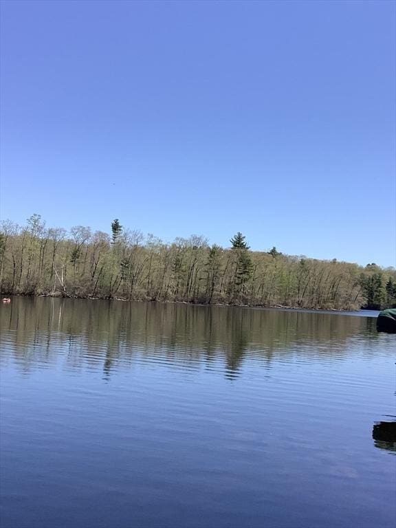 00 Paxton St, Leicester, MA 01524 - water view with a forest view