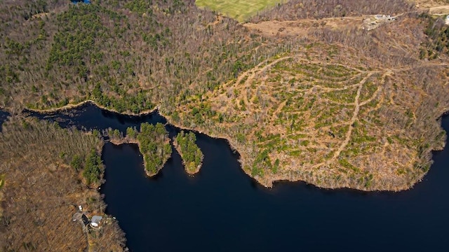 00 Paxton St, Leicester, MA 01524 - birds eye view of property with a water view