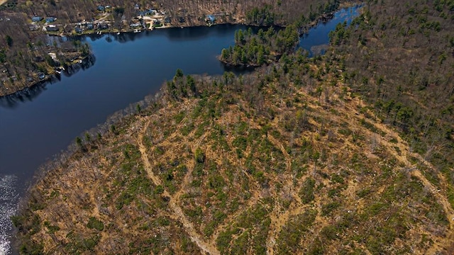 00 Paxton St, Leicester, MA 01524 - birds eye view of property with a water view
