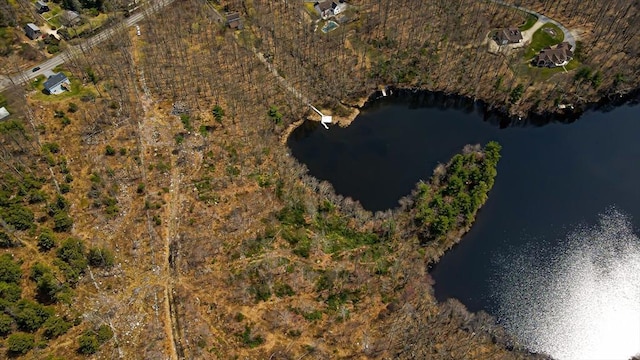 00 Paxton St, Leicester, MA 01524 - bird's eye view with a water view