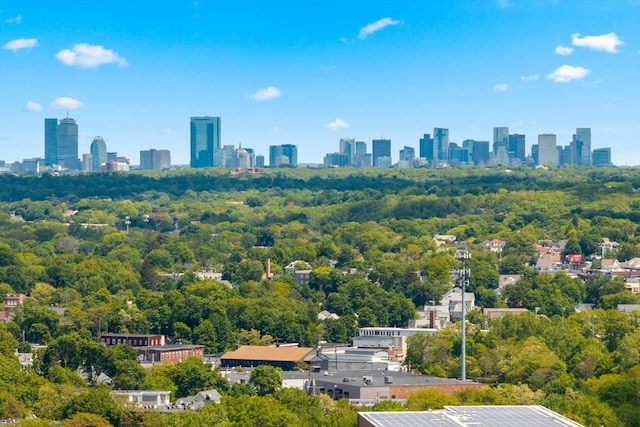 120 Readville St, Boston, MA 02136 - view of city skyline