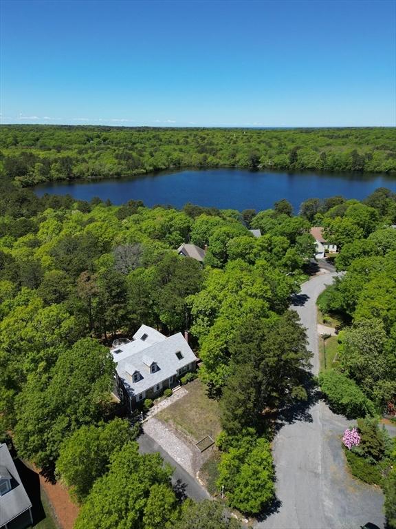 94 Pine View Dr, Brewster, MA 02631 - bird's eye view of a forest and a nearby body of water