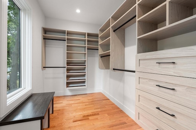110 Harvard St, Newton, MA 02460 - spacious closet featuring light wood-type flooring