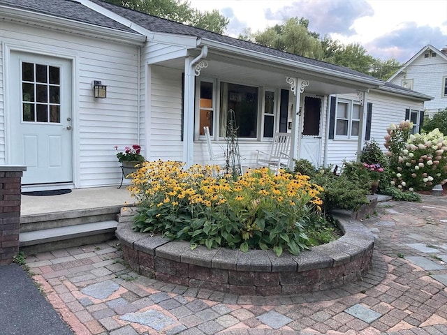 doorway to property with covered porch and a shingled roof