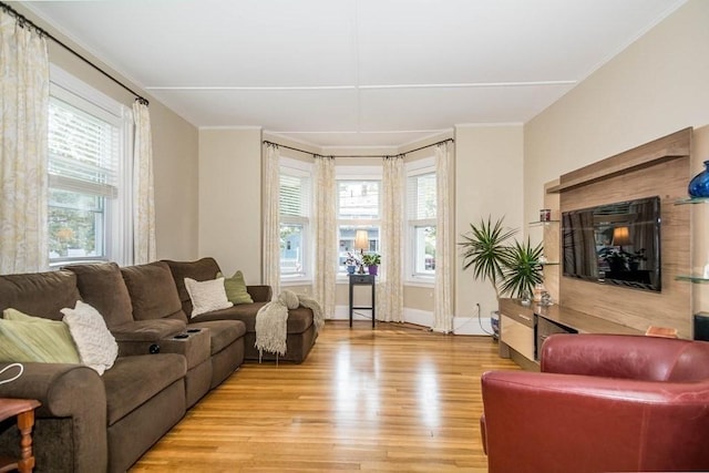 29-31 Bancroft Ave, Reading, MA 01867 - living area featuring light wood-style floors and crown molding