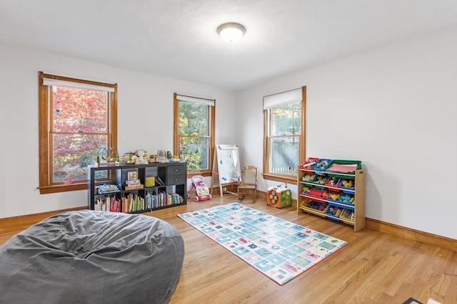 recreation room featuring hardwood / wood-style flooring