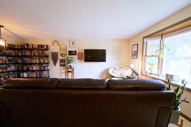 19 Hadley St Unit 14, South Hadley, MA 01075 - view of living area