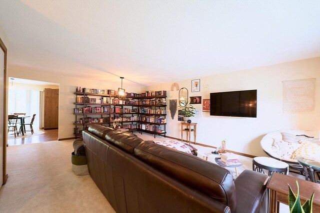 19 Hadley St Unit 14, South Hadley, MA 01075 - living area featuring light carpet and baseboards