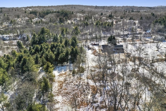 bird's eye view with a wooded view