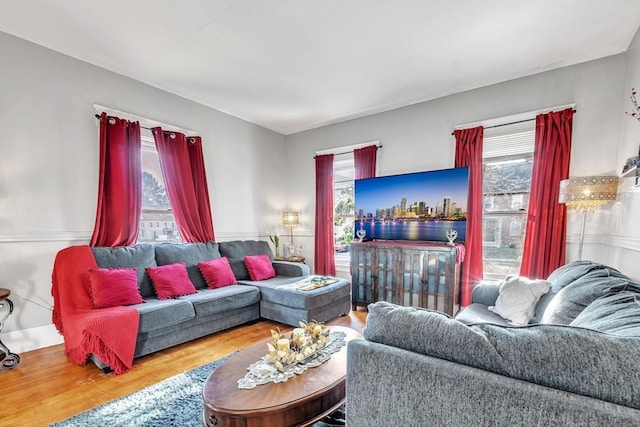 living room featuring hardwood / wood-style floors and a healthy amount of sunlight