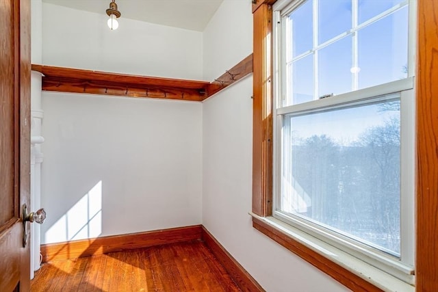 spacious closet featuring wood finished floors