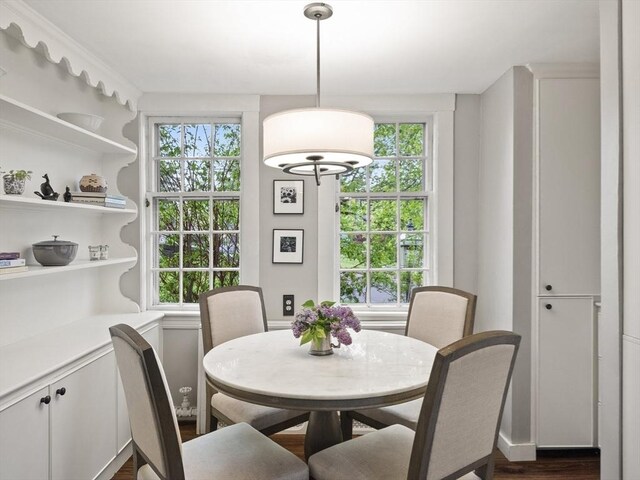 dining room featuring plenty of natural light and dark wood-style flooring