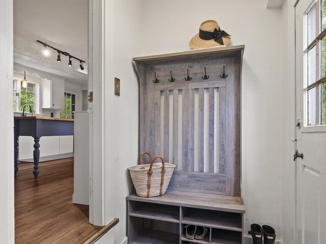 mudroom featuring track lighting and wood finished floors