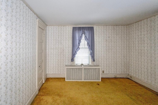 spare room with light carpet and radiator heating unit