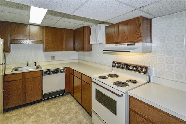 kitchen with sink, white appliances, and a paneled ceiling