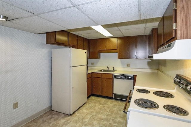 kitchen featuring sink, a paneled ceiling, and white appliances