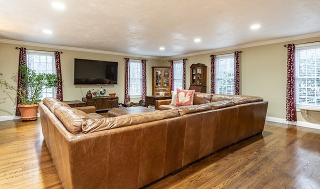 living room with ornamental molding, a wealth of natural light, and wood-type flooring