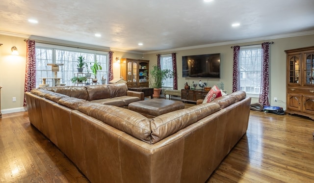 living room with crown molding, a wealth of natural light, and wood-type flooring