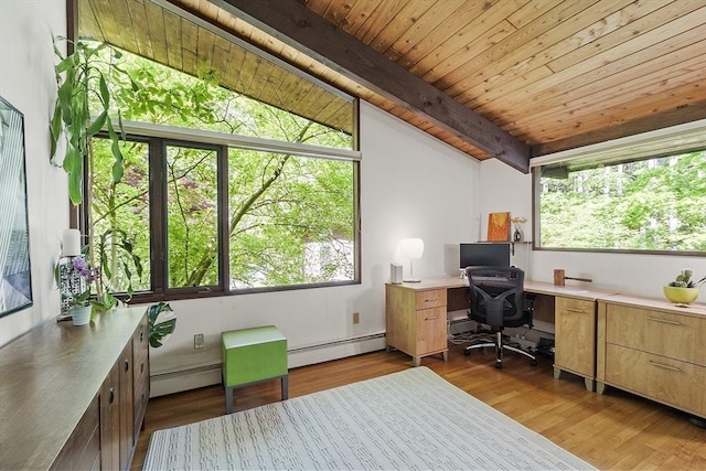 157 Carleton Rd, Carlisle, MA 01741 - office area featuring plenty of natural light, wood finished floors, wooden ceiling, and a baseboard radiator