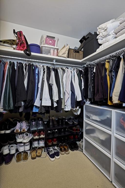 580 Washington St Unit 10A, Boston, MA 02111 - view of walk in closet
