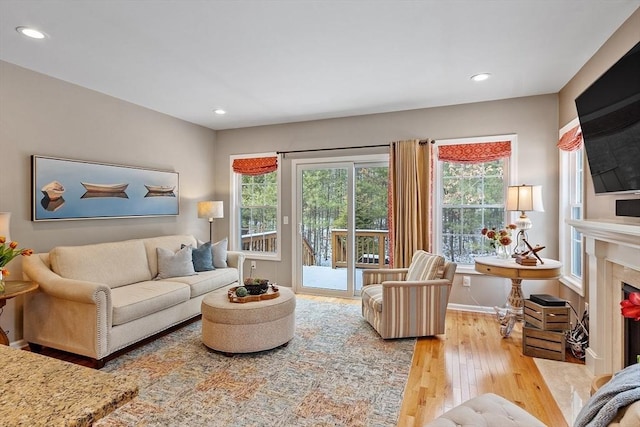 living room featuring a healthy amount of sunlight and light hardwood / wood-style flooring