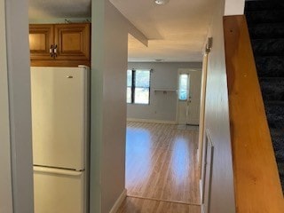 kitchen featuring light hardwood / wood-style floors and white refrigerator