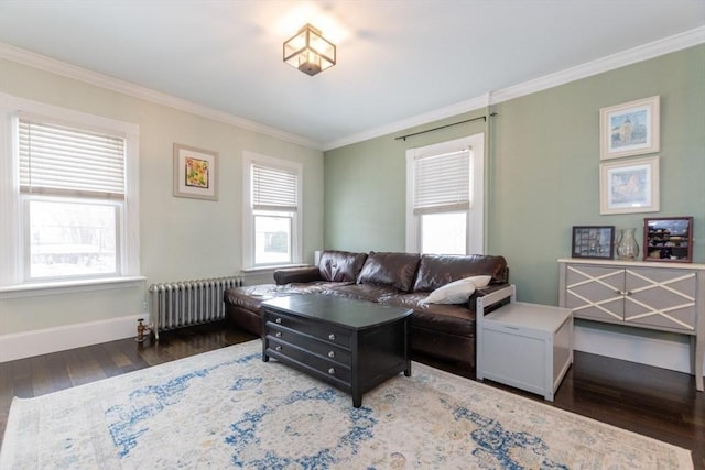 living area featuring radiator, dark wood-style flooring, and crown molding