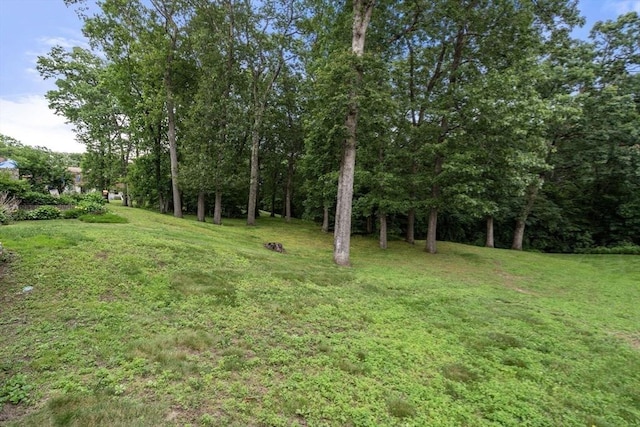 70 Granby Hts Unit 70, Granby, MA 01033 - view of grassy yard