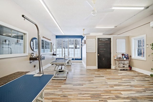 exercise area featuring ceiling fan and light hardwood / wood-style floors