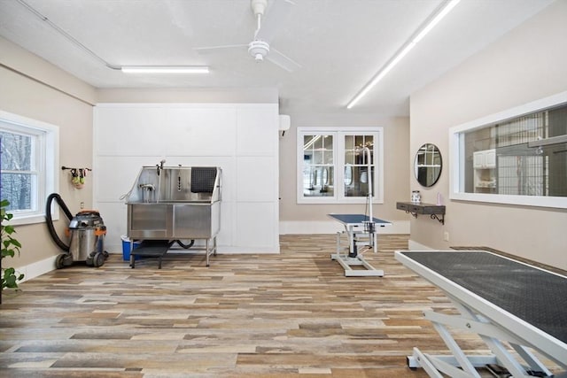 interior space with ceiling fan and light wood-type flooring