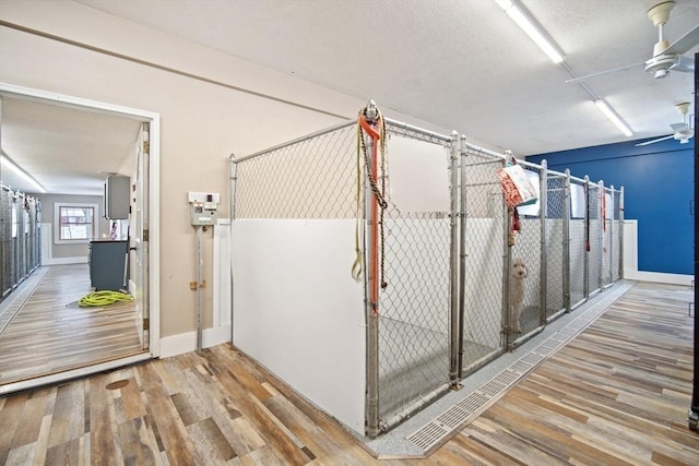 storage room featuring ceiling fan