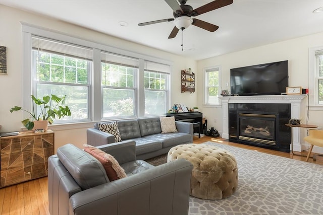 living room with wood finished floors, a ceiling fan, and a glass covered fireplace