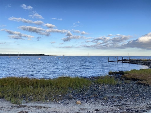 water view featuring a dock