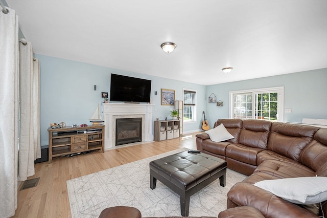 living room featuring a fireplace and light hardwood / wood-style flooring