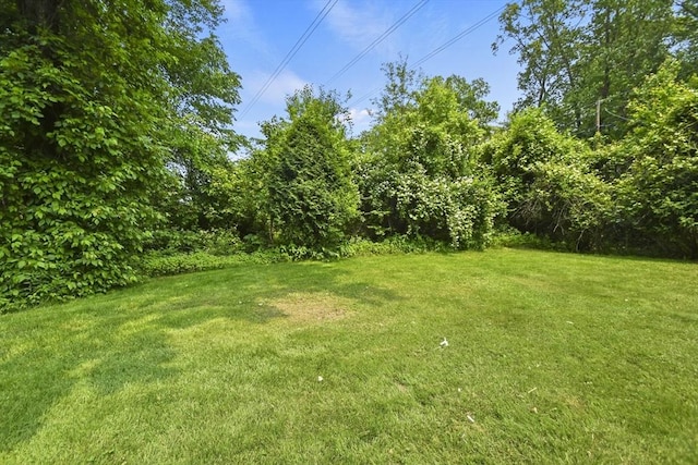 175 Armsby Rd, Sutton, MA 01590 - view of green lawn