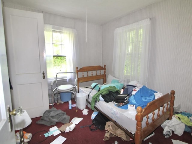 554 Wachusett St, Holden, MA 01520 - bedroom with carpet floors