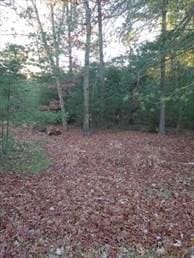 0 Root Rd, Westfield MA, 01085 land for sale