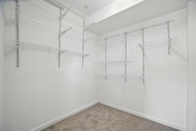 7 Conant Rd Unit 23, Winchester, MA 01890 - walk in closet featuring carpet flooring