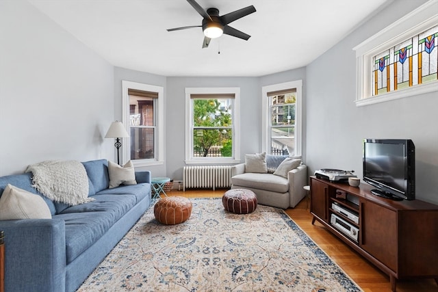 living room featuring light hardwood / wood-style floors, radiator heating unit, and ceiling fan