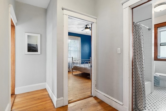 corridor featuring hardwood / wood-style floors and a healthy amount of sunlight