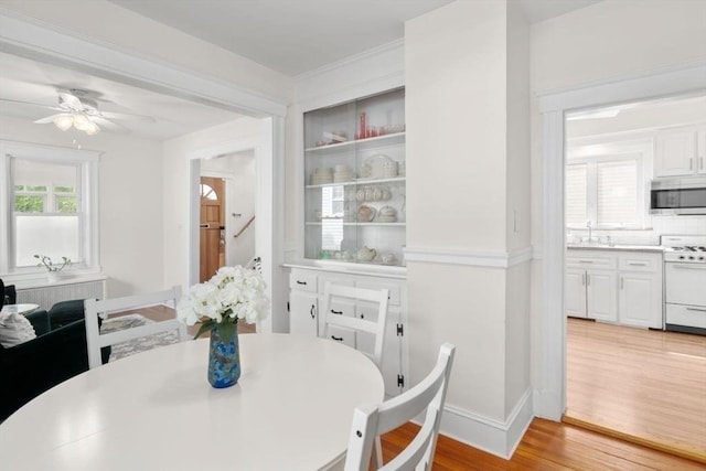 127 Highland Ave, Watertown, MA 02472 - dining room with light wood-style floors, ceiling fan, and baseboards