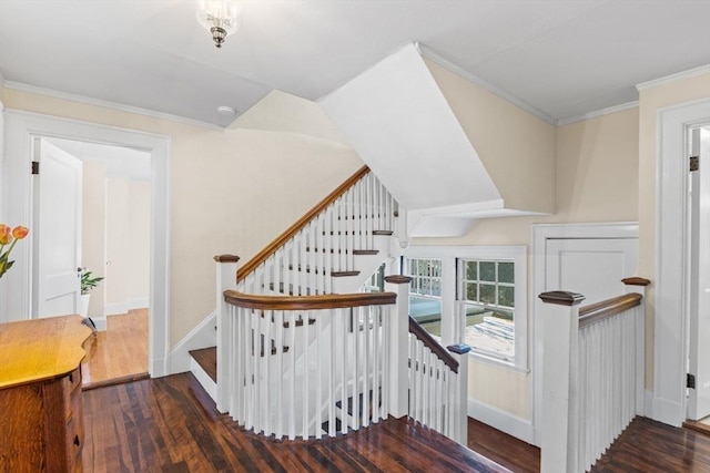 staircase featuring wood-type flooring and crown molding