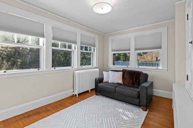 living area featuring ornamental molding, radiator, and light wood-type flooring