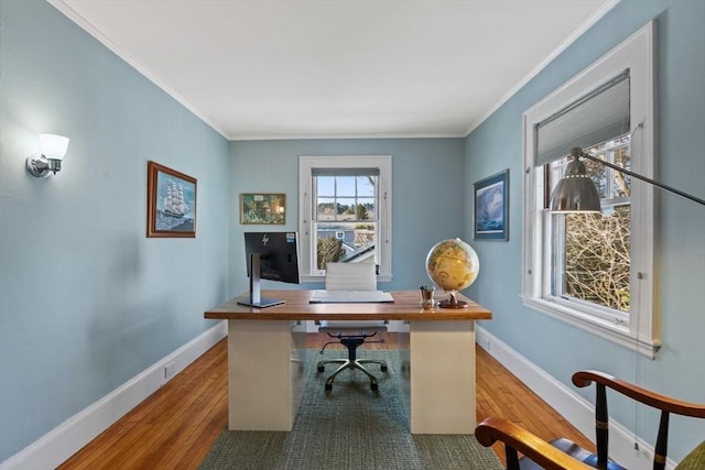 office with crown molding and wood-type flooring