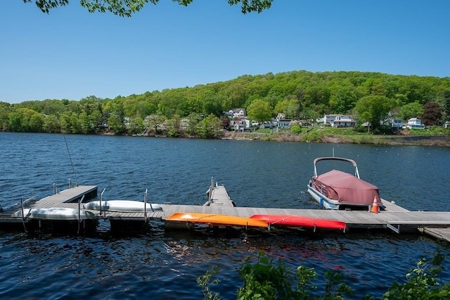 30 Eastern Point Dr Unit 30, Shrewsbury, MA 01545 - dock area with a water view and a wooded view