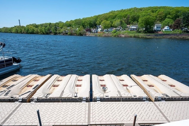 30 Eastern Point Dr Unit 30, Shrewsbury, MA 01545 - dock with a water view