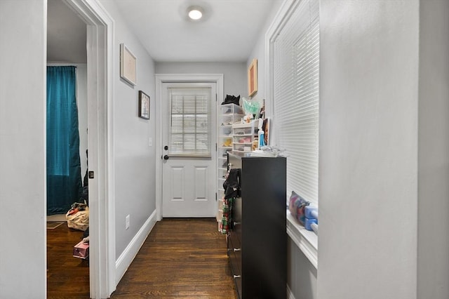 hall featuring dark hardwood / wood-style floors