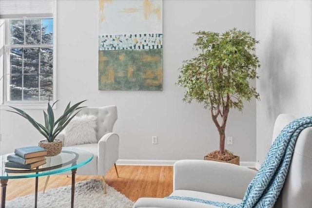 living area featuring wood-type flooring